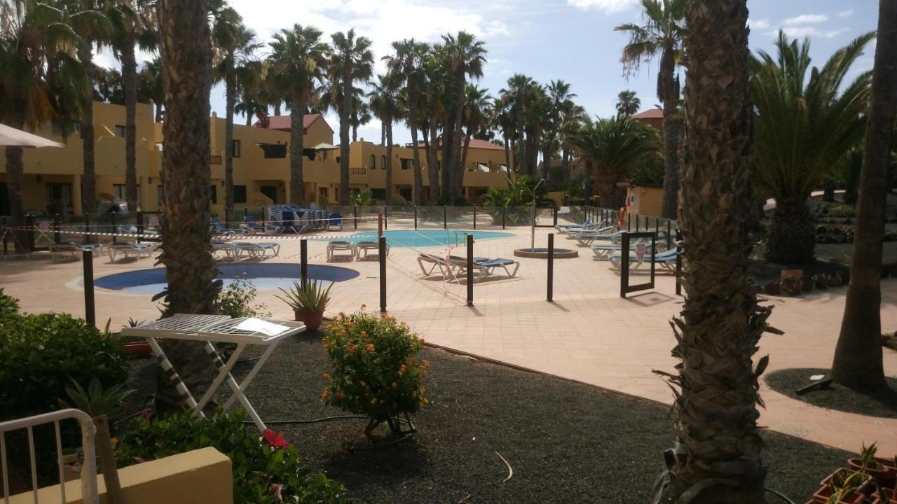 Oasis Royal F217 Apartman Corralejo Kültér fotó