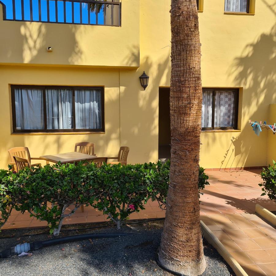 Oasis Royal F217 Apartman Corralejo Kültér fotó