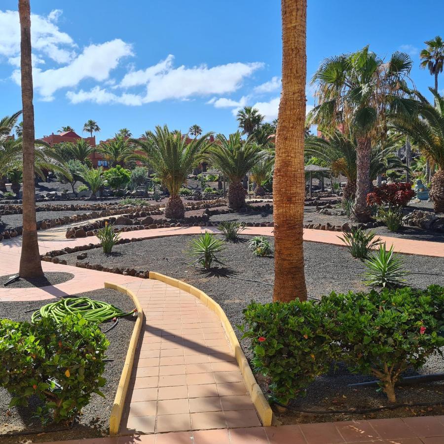 Oasis Royal F217 Apartman Corralejo Kültér fotó