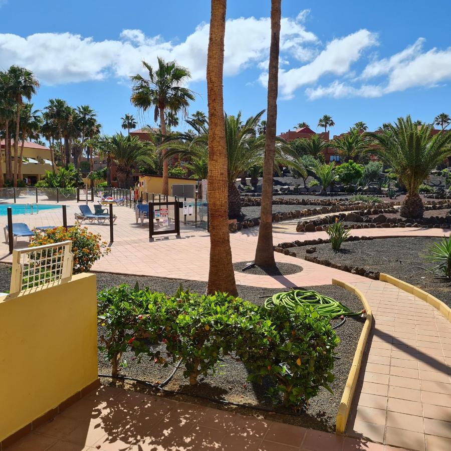 Oasis Royal F217 Apartman Corralejo Kültér fotó